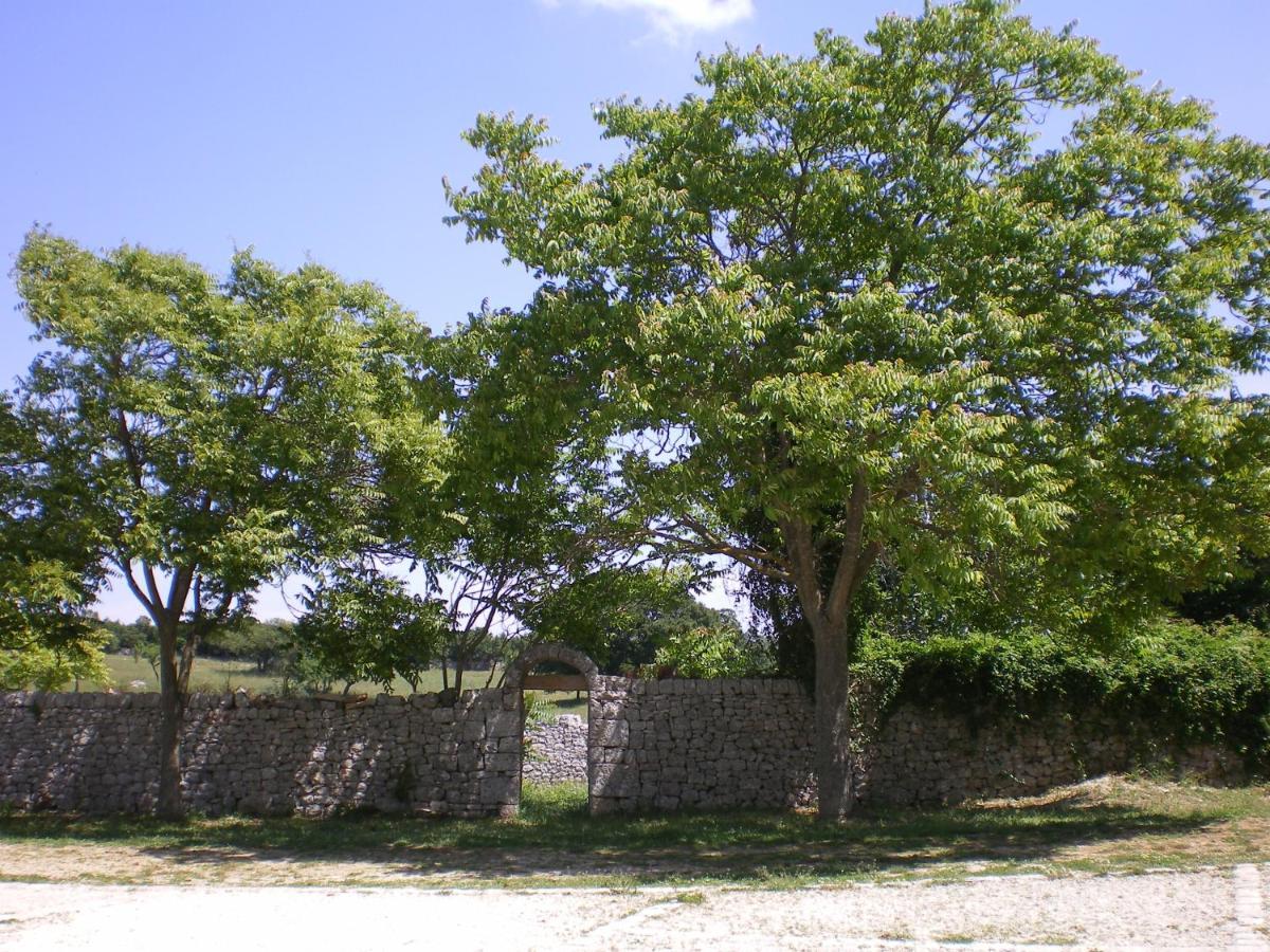B&B Masseria Santanna Impalata Exteriér fotografie