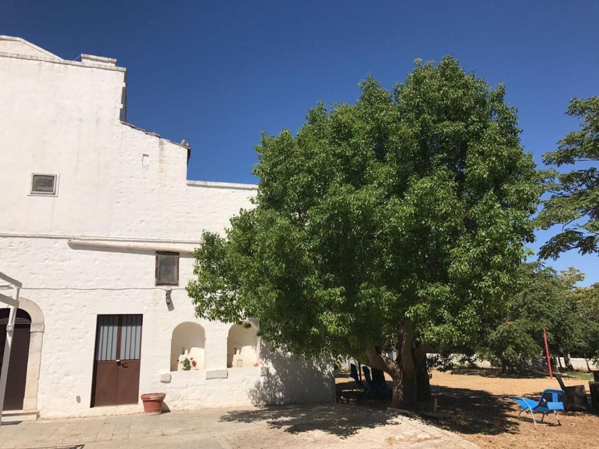 B&B Masseria Santanna Impalata Exteriér fotografie
